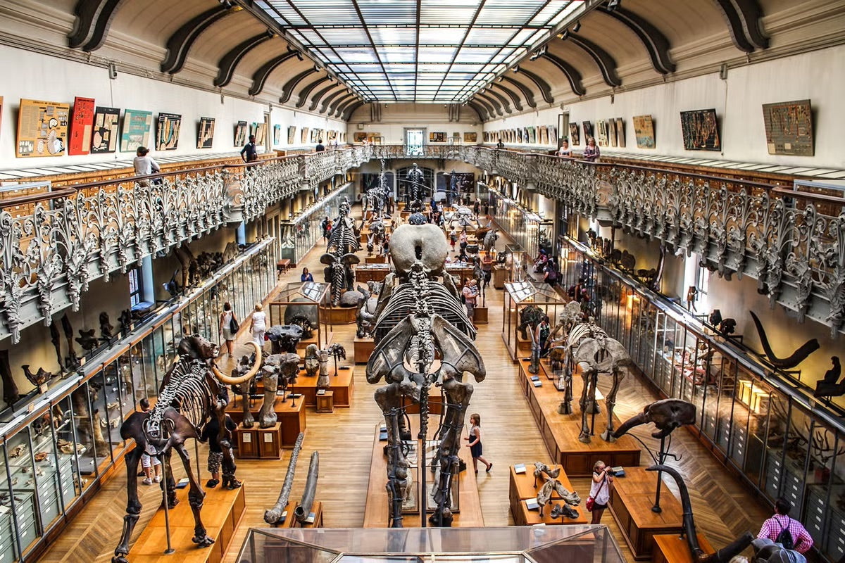 Cristian Valdés en museo de Historia Natural de Francia
